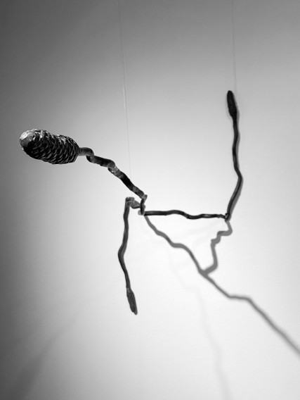 Świat Blasku – fragment wystawy Anny Bujak na Zamku Sieleckim w Sosnowcu