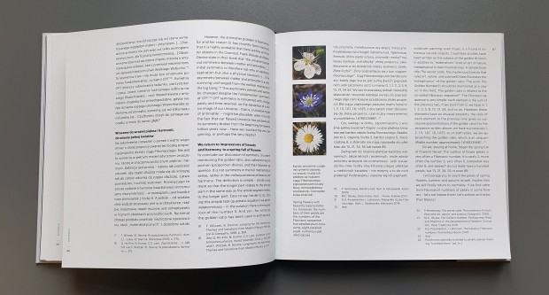 Publikacja a!symetrie środek