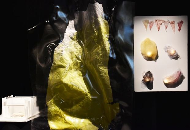 ASP Wrocław, zdj. Sebastian Siepietowski