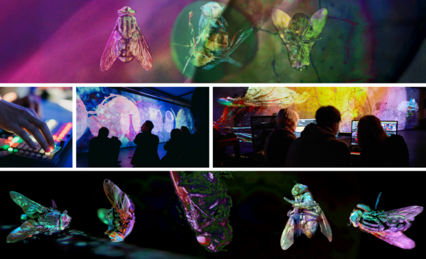 Trojanowska Aleksandra