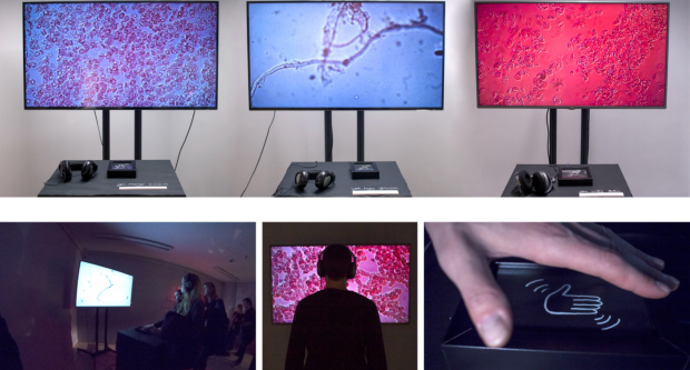 Trojanowska Aleksandra