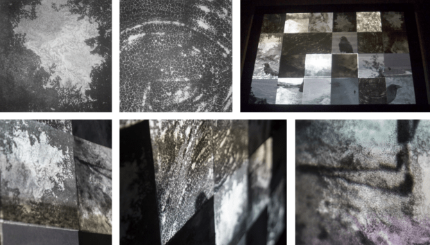 Trojanowska Aleksandra