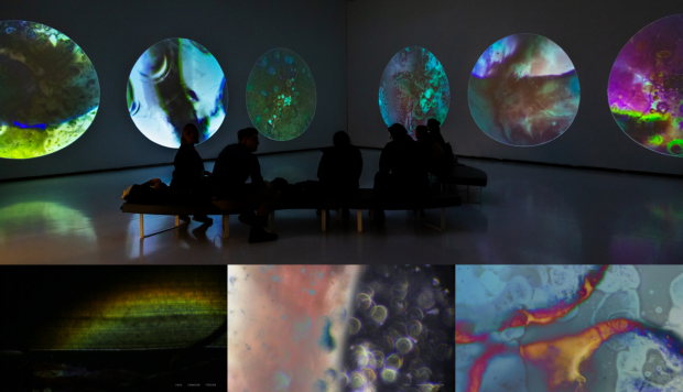 Trojanowska Aleksandra