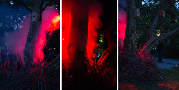 Trojanowska Aleksandra