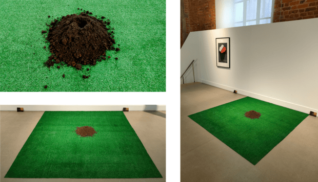 Trojanowska Aleksandra