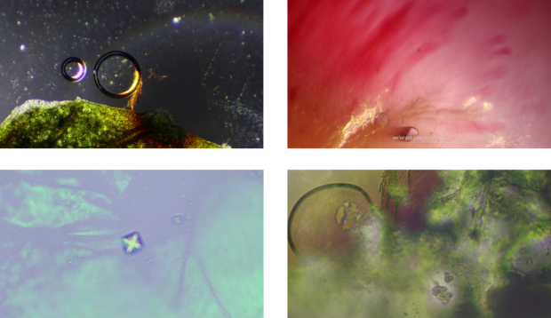 Trojanowska Aleksandra