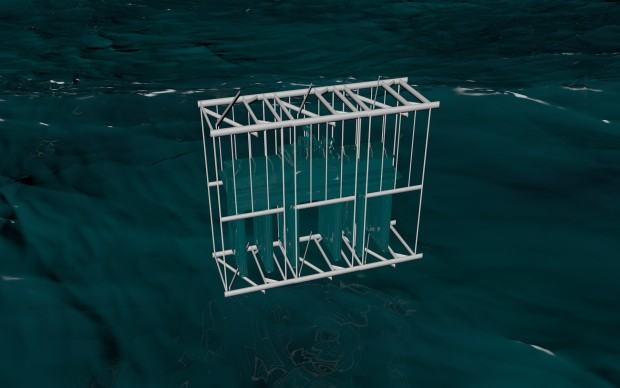 Kinga Bartniak-Król, Idea Oceanu