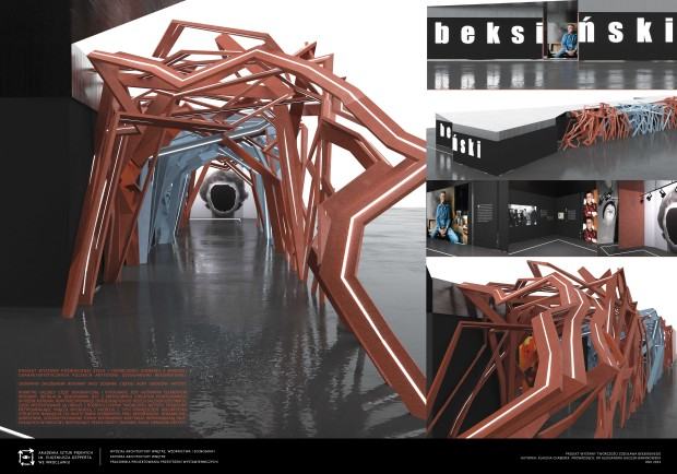 Klaudia Chaberek, Projekt wystawy