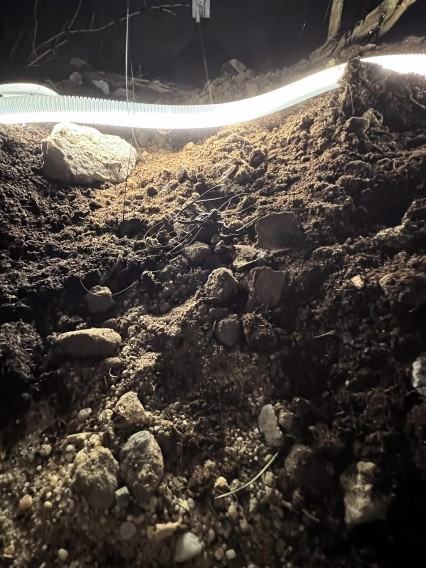 Pracownia Eksperymentów Transmedialnych