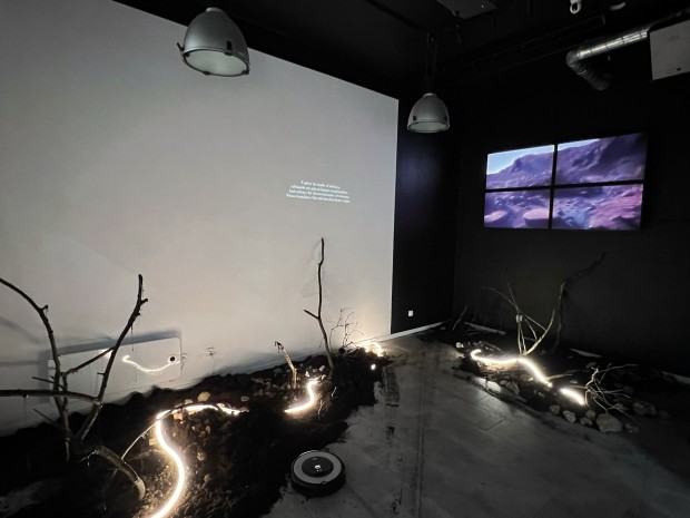 Pracownia Eksperymentów Transmedialnych