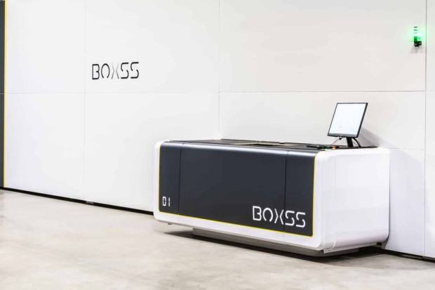 Grzegorz Rozwadowski, Boxss