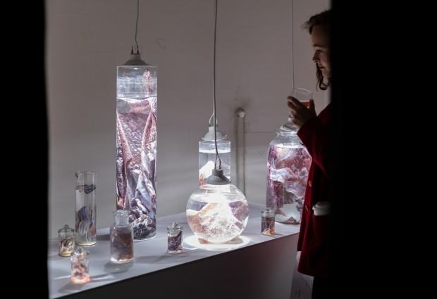 Dokumentacja wystawy doktorskiej Moniki Polak pt. Artifictions