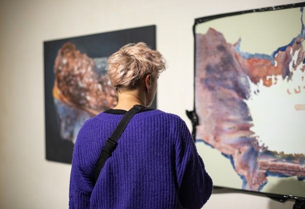 Dokumentacja wystawy doktorskiej Moniki Polak pt. Artifictions