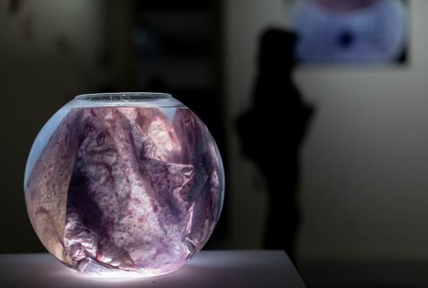 Dokumentacja wystawy doktorskiej Moniki Polak pt. Artifictions