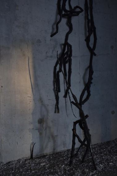 Szelest wyobraźni, wystawa Darii Alicji Kowalewskiej