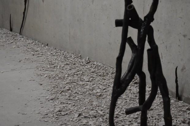 Szelest wyobraźni, wystawa Darii Alicji Kowalewskiej