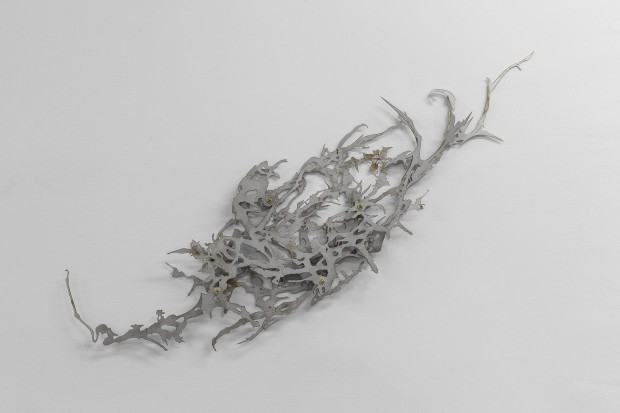 Diaphanous Growth II