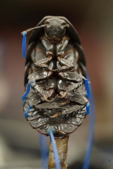 Pracownia Techniki Rzeźbiarskich – Odlewnictwo