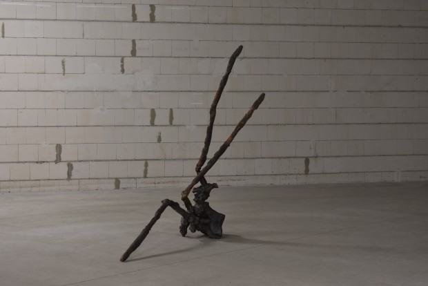 Szelest wyobraźni, wystawa Darii Alicji Kowalewskiej