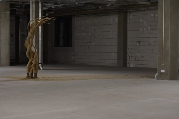 Szelest wyobraźni, wystawa Darii Alicji Kowalewskiej