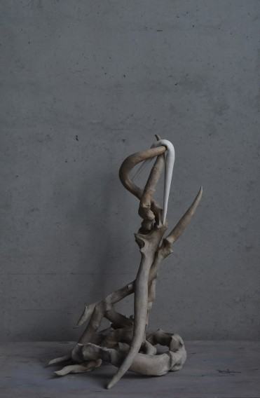 Szelest wyobraźni, wystawa Darii Alicji Kowalewskiej