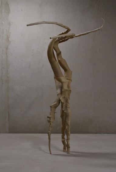 Szelest wyobraźni, wystawa Darii Alicji Kowalewskiej