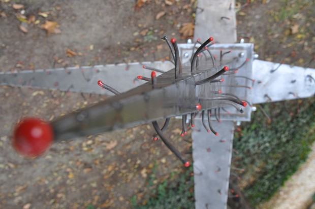 Fragment wystawy „Cosmic Nature” w Ogrodzie ASP przy ul. Traugutta we Wrocławiu.