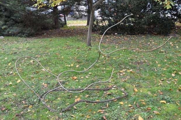 Fragment wystawy „Cosmic Nature” w Ogrodzie ASP przy ul. Traugutta we Wrocławiu.