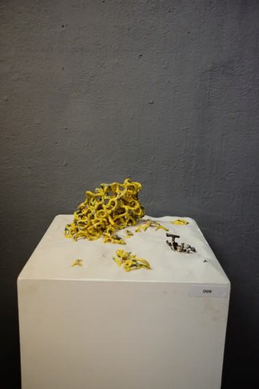 Fotorelacja z wystawy Dno