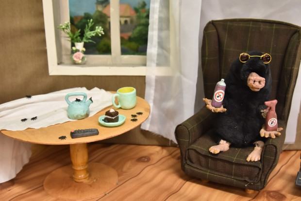 Dyplom Antonina Karnicka