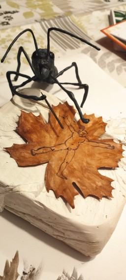 Dyplom Antonina Karnicka