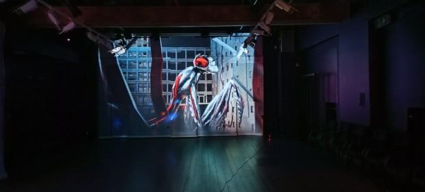 Dyplom Dominika Firla