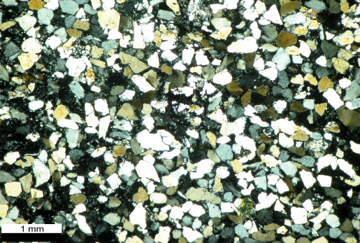 Konserwacja Kapliczki, Zamek Grodno