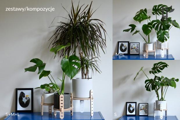 Magdalena Szwajcowska