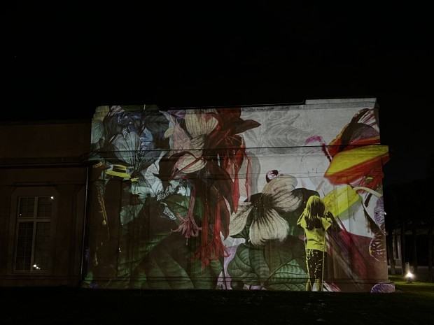 LAACT3.0, Krajobraz wyświetlany na elewacji Pawilonu 4 Kopuł we Wrocławiu, autor Robert Sochacki