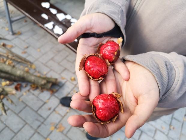 V plener rzeźbiarski zorganizowany w Centrum Rzeźby Polskiej w Orońsku, 2022 r.