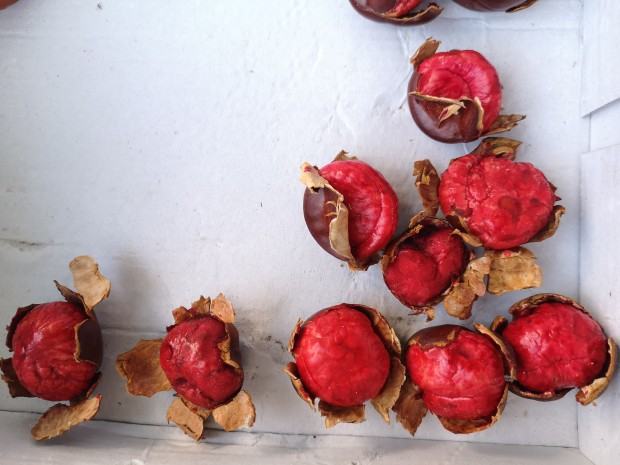 V plener rzeźbiarski zorganizowany w Centrum Rzeźby Polskiej w Orońsku, 2022 r.