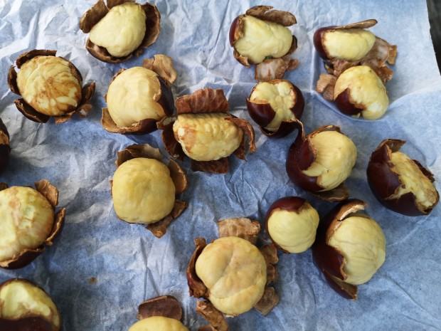 V plener rzeźbiarski zorganizowany w Centrum Rzeźby Polskiej w Orońsku, 2022 r.