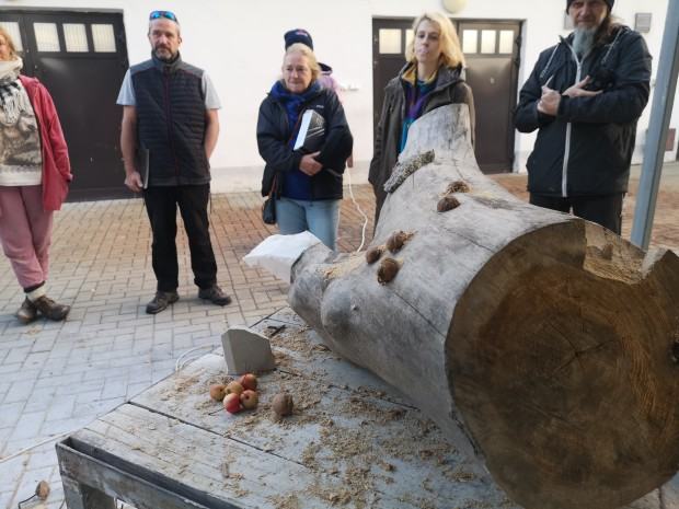 V plener rzeźbiarski zorganizowany w Centrum Rzeźby Polskiej w Orońsku, 2022 r.