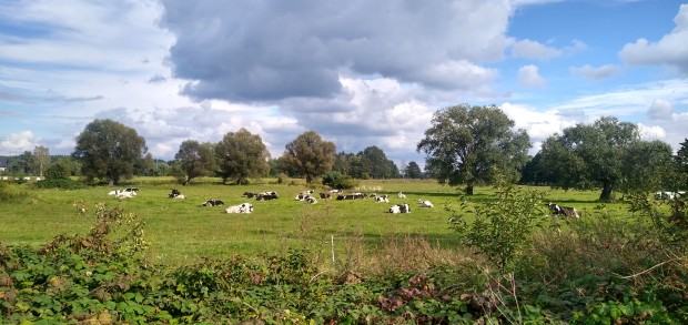 I plener kierunku Rysunek w Luboradowie