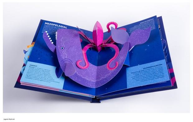 Dyplom projektowy Jagody Mądrzak