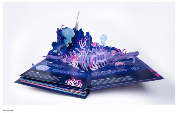 Dyplom projektowy Jagody Mądrzak