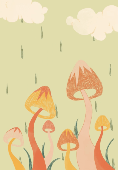 Julia Mosko, Cztery pory roku