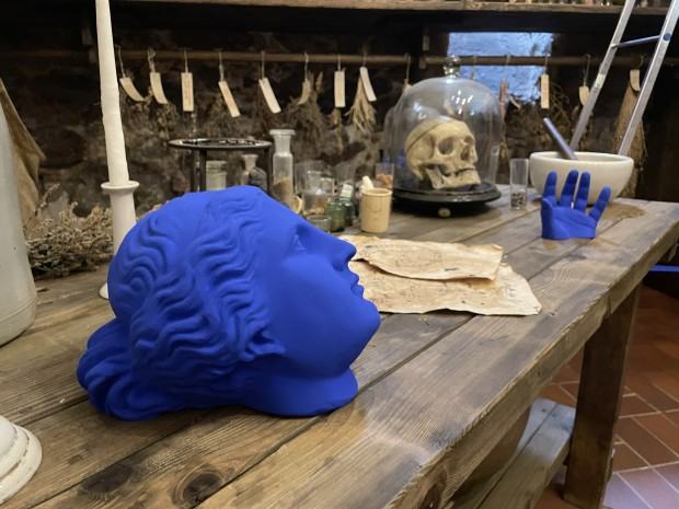 Karol Babicz, Kontrasty