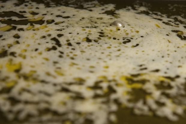 Katarzyna Bogusz, Ciemna strona perły, Galeria AT Poznań, 2022, fot. autorka