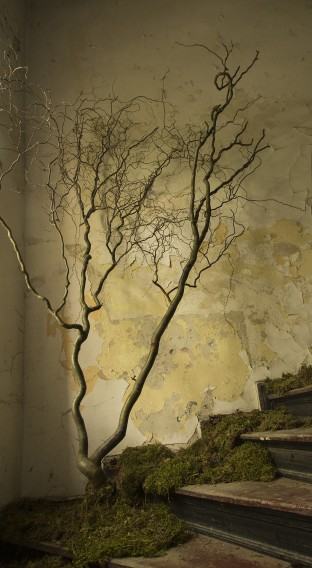 Katarzyna Bogusz, T(räum)en, instalacja site specific, Stara Rzeźnia Poznań, 2015, fot. autorka