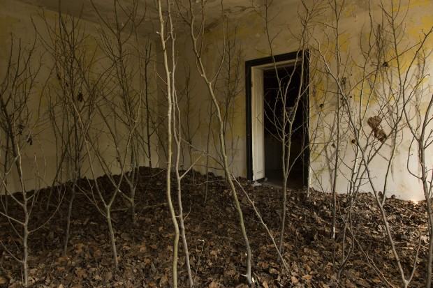 Katarzyna Bogusz, T(räum)en, instalacja site specific, Stara Rzeźnia Poznań, 2015, fot. autorka