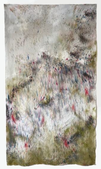 Katarzyna Witek, Flota