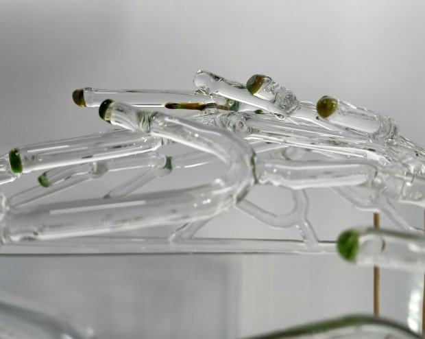 katarzynagemborys-wanilia.