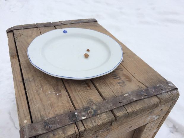 Klaudia Wydra, Przednówek